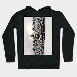 Winter Forest Hoodie